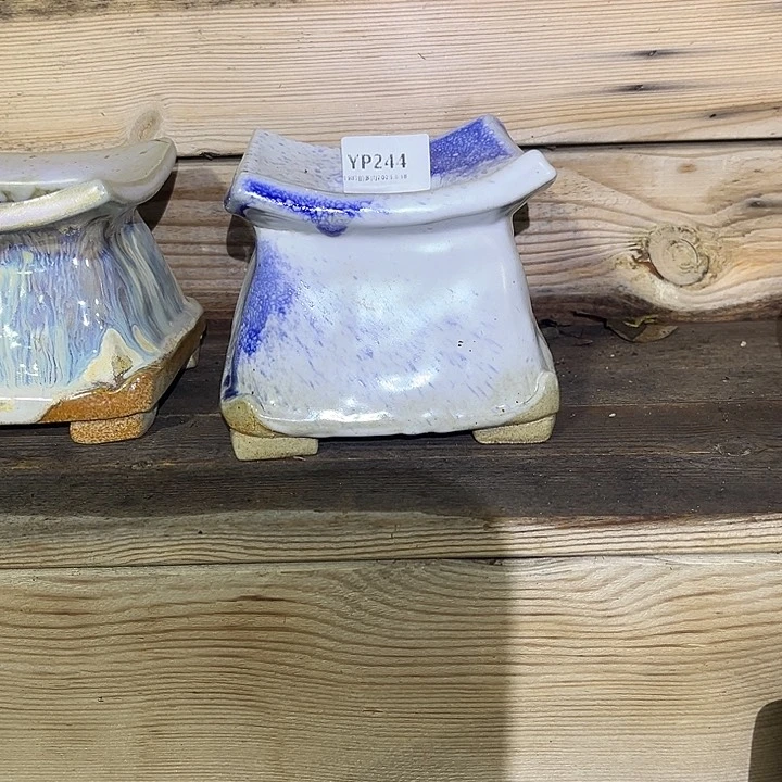 紫砂花盆还***5YP244盆盆盆盆