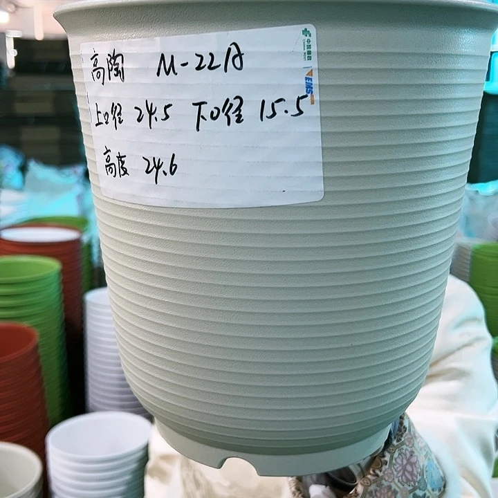 正品高陶口24高24米色无托5个