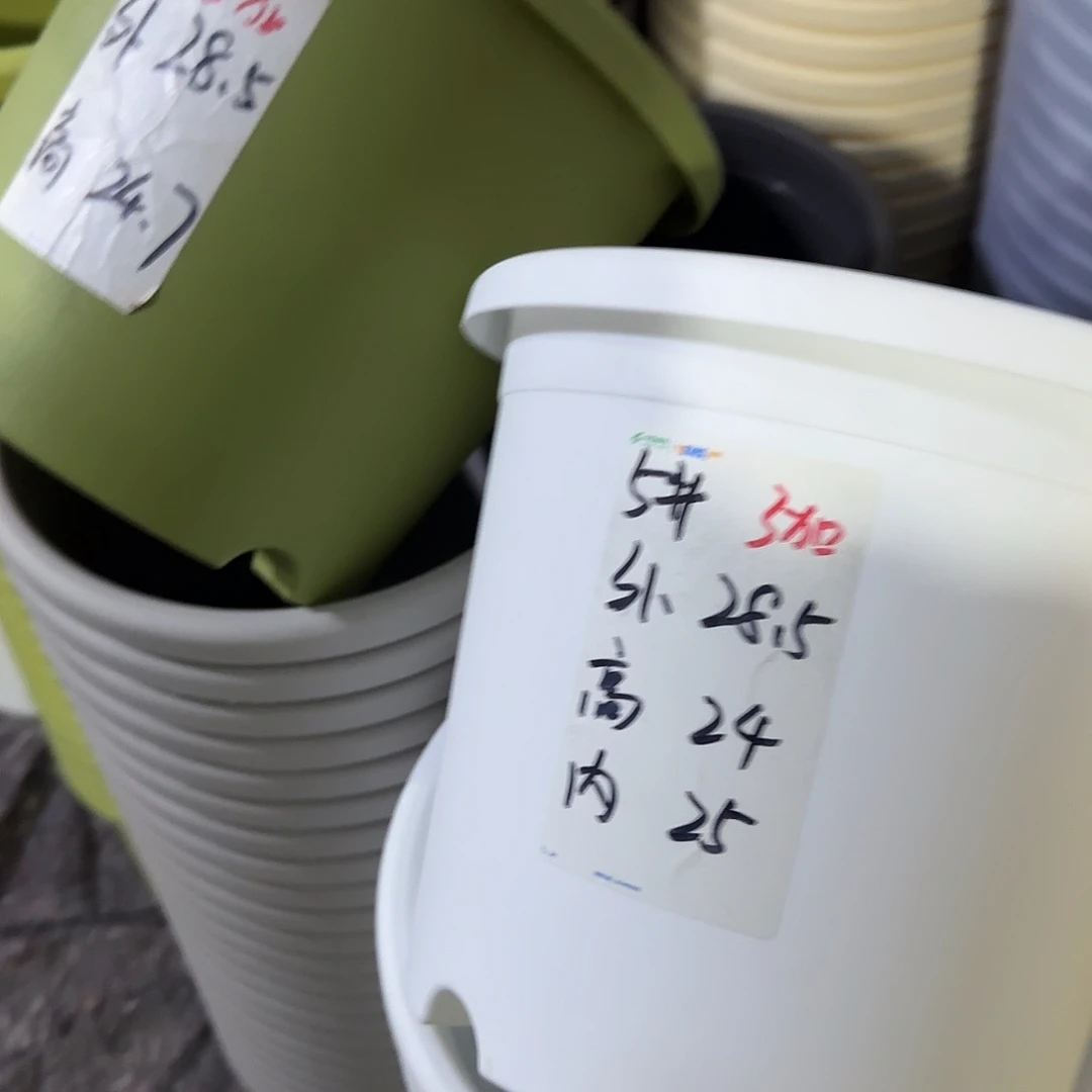 微瑕5号无托6个，白