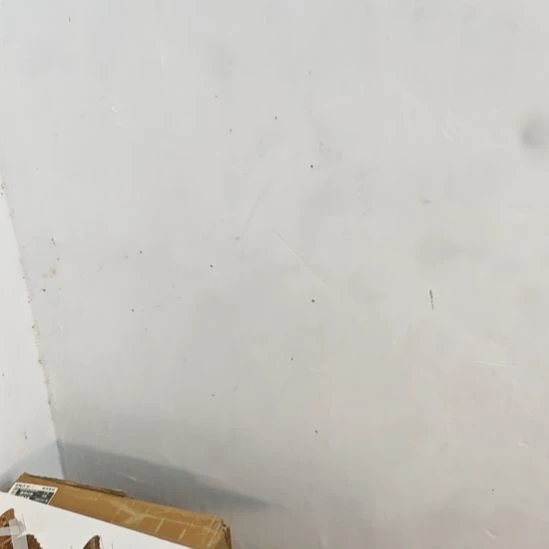 定制天堂凤蝶全品