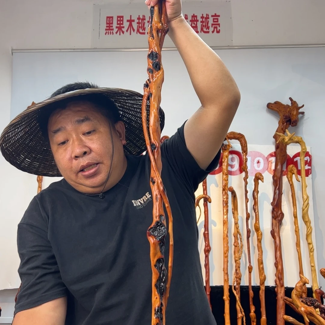 战***尊黑果木其他黑果木855