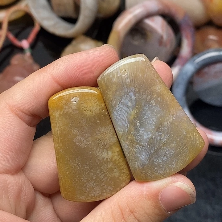 硅化玉未镶嵌颈饰