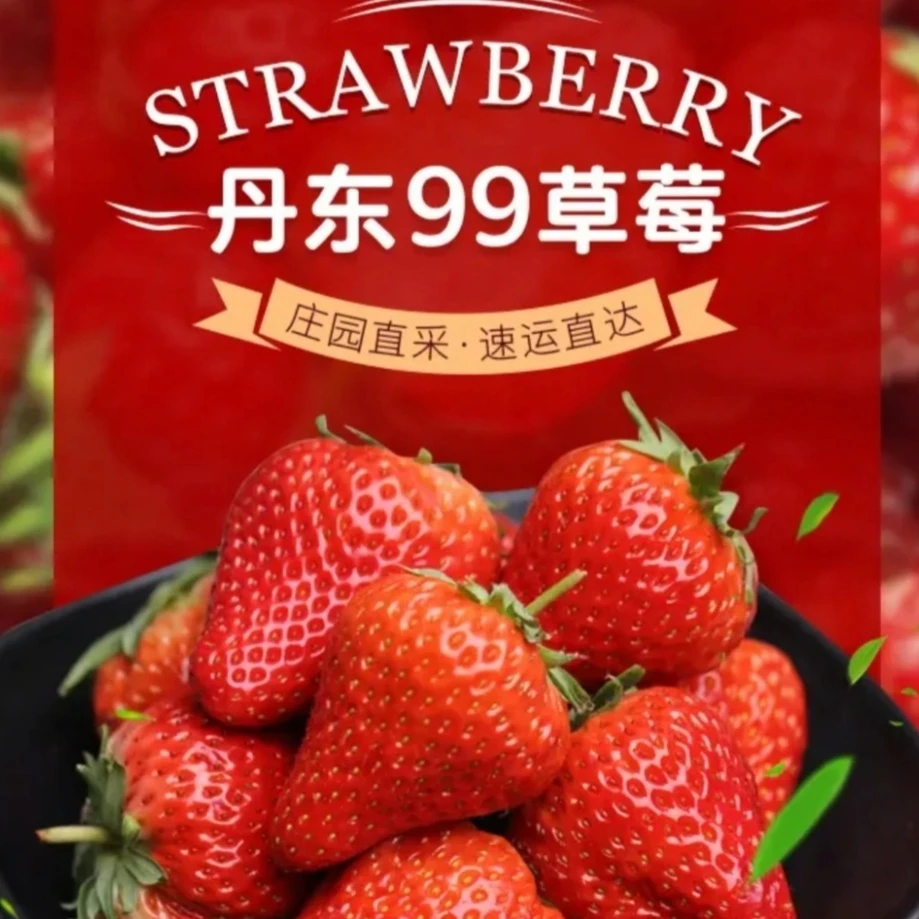 正宗丹东九九新鲜现摘现发香甜饱满顺丰空运