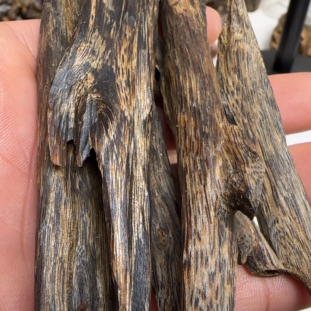 润***杨沉香碎屑沉香奇楠沉香天然虫漏