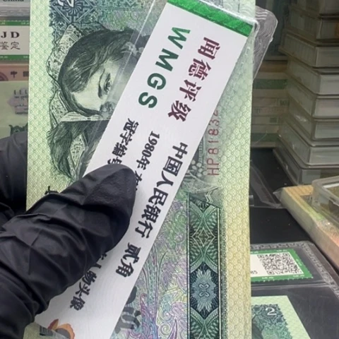 塑料第四套人民币802绿幽灵
