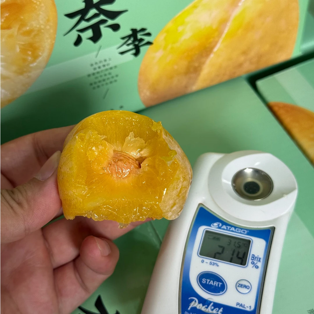 【香甜脆嫩多汁】韶关黄金奈李子味浓核小新鲜采摘顺丰