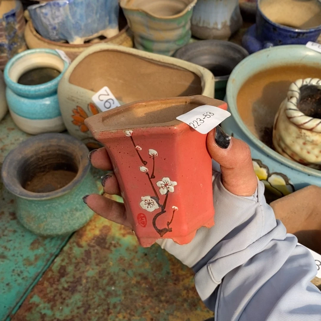 红陶53号链接花盆