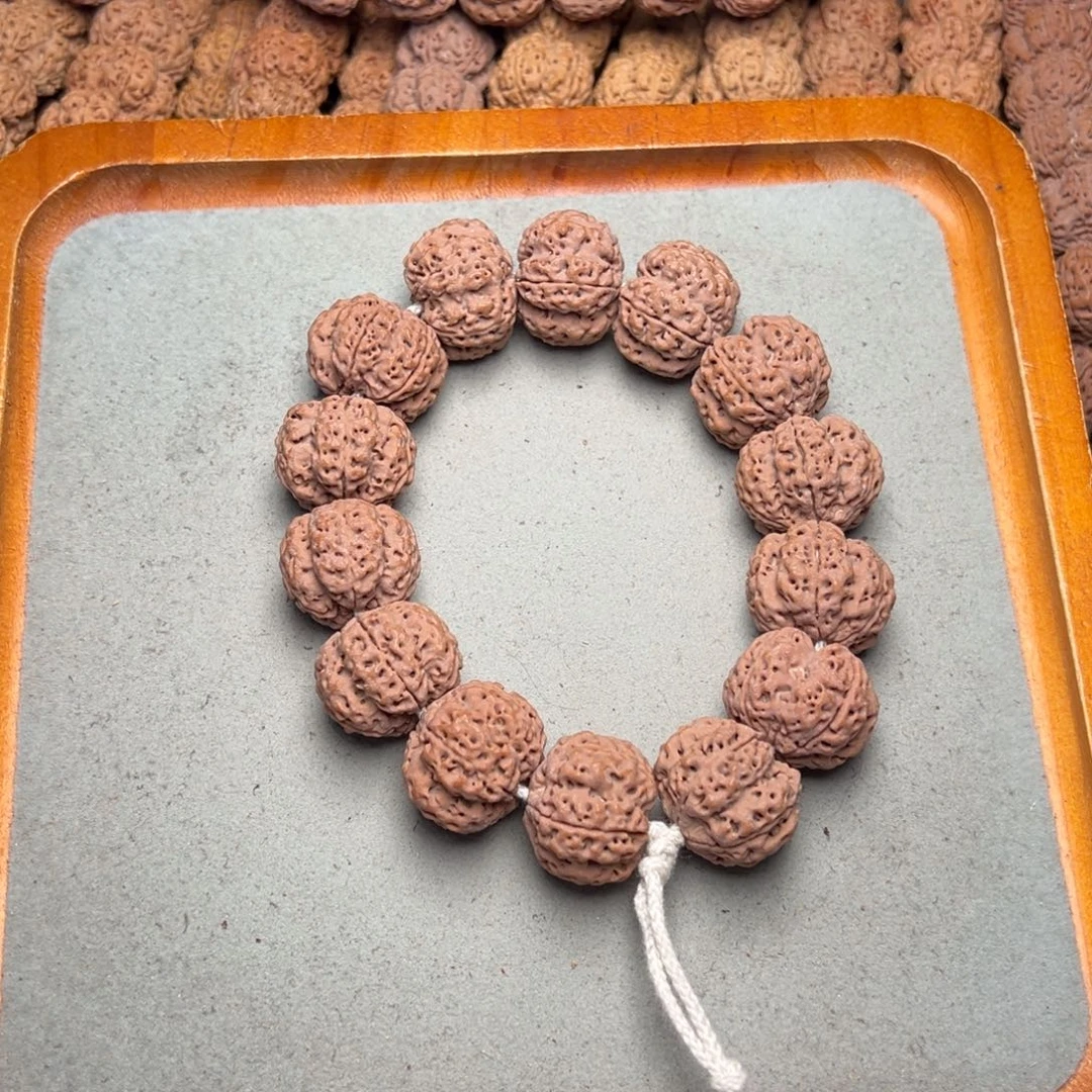 菩提14号金刚菩提龙骨梅花24