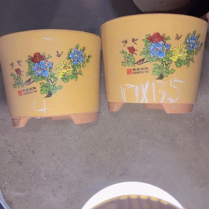 周深周深周深周深周深