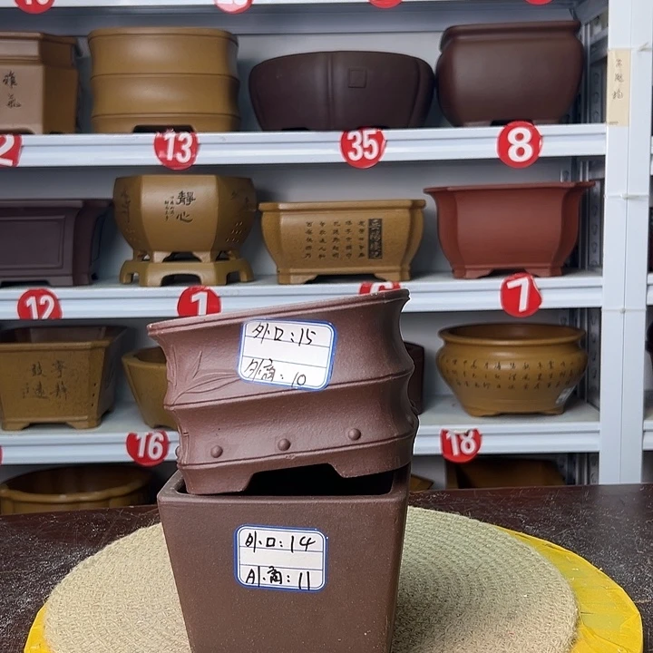 花盆紫砂你在一起