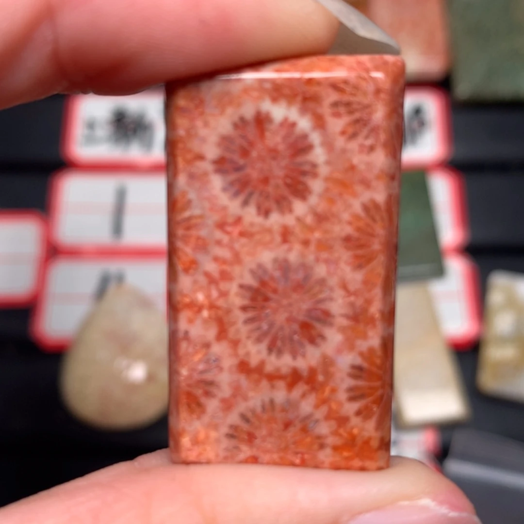 【闪购商品】硅化玉颈饰未镶嵌清*