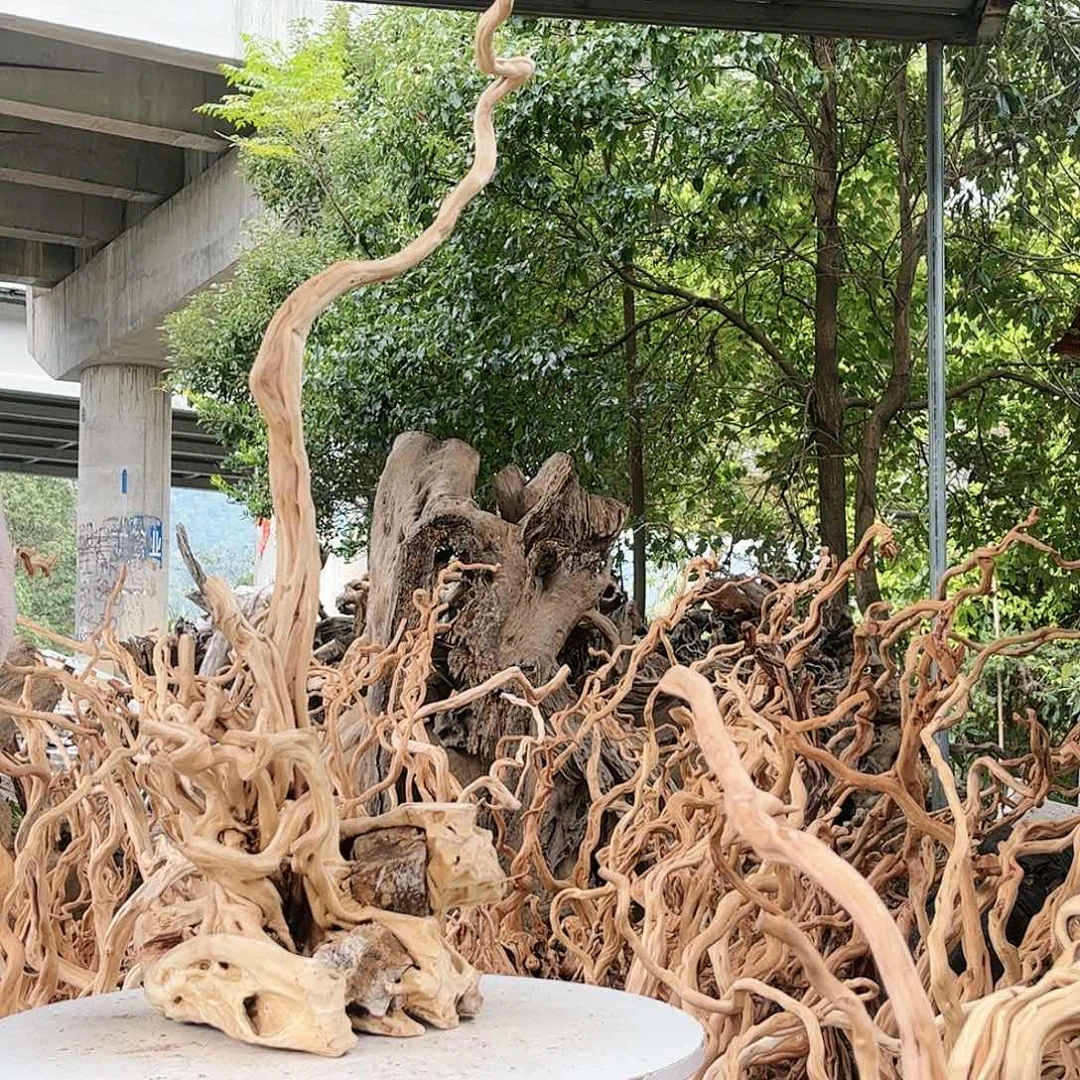 এ***゜香榧木268啦啦啦啦啦啦啦啦啦啦啦