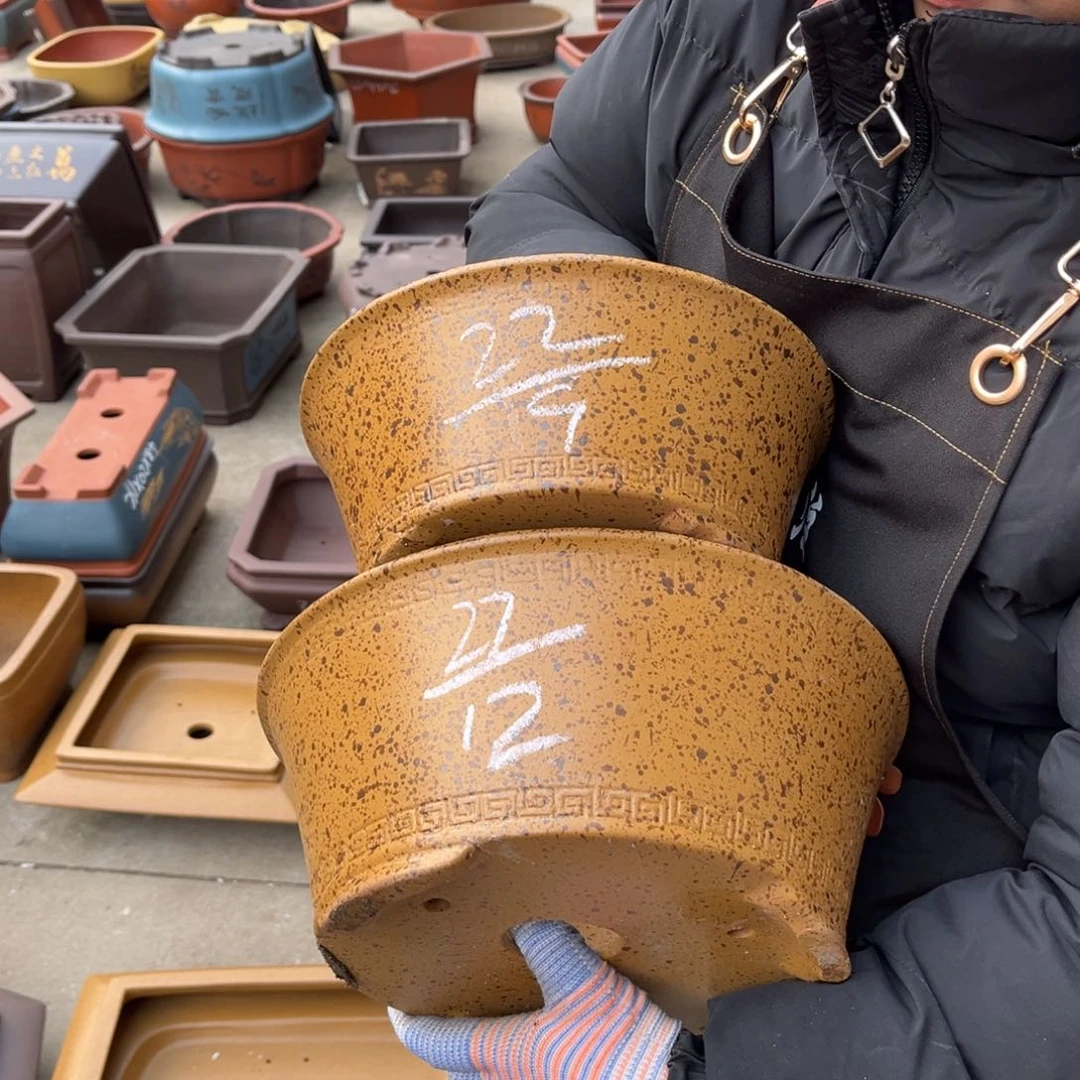 紫砂花盆盆景艺术