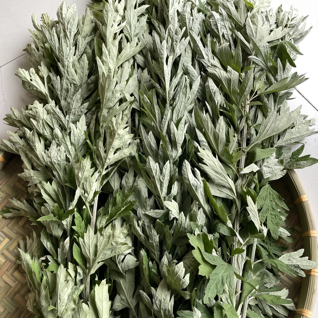 新鲜艾草现割现发端午节送礼门窗悬挂带杆