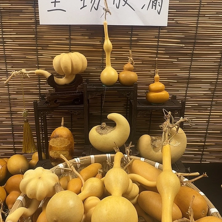 我***懂葫芦葫芦葫芦葫芦葫芦