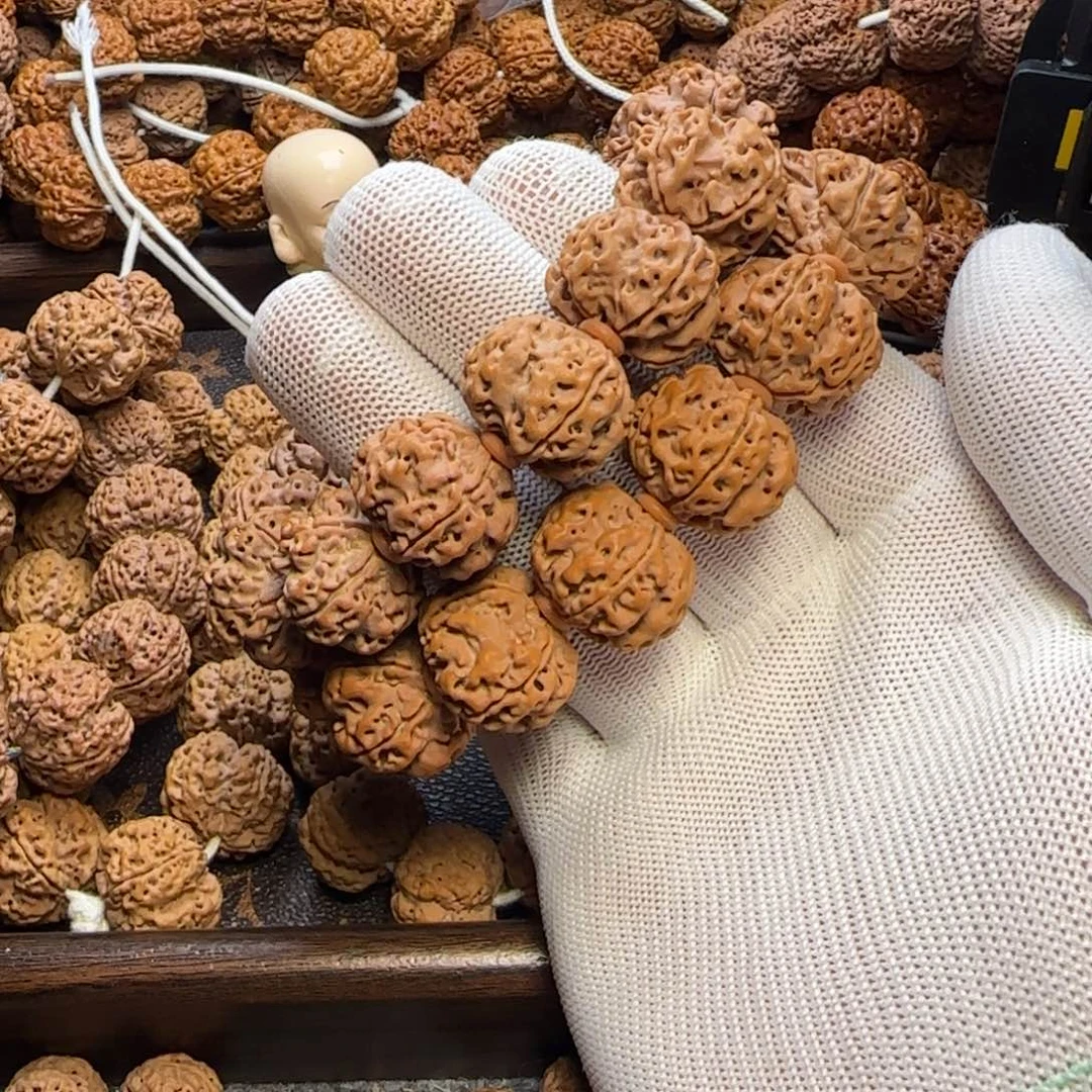 菩提金刚菩提22双龙梅花两条