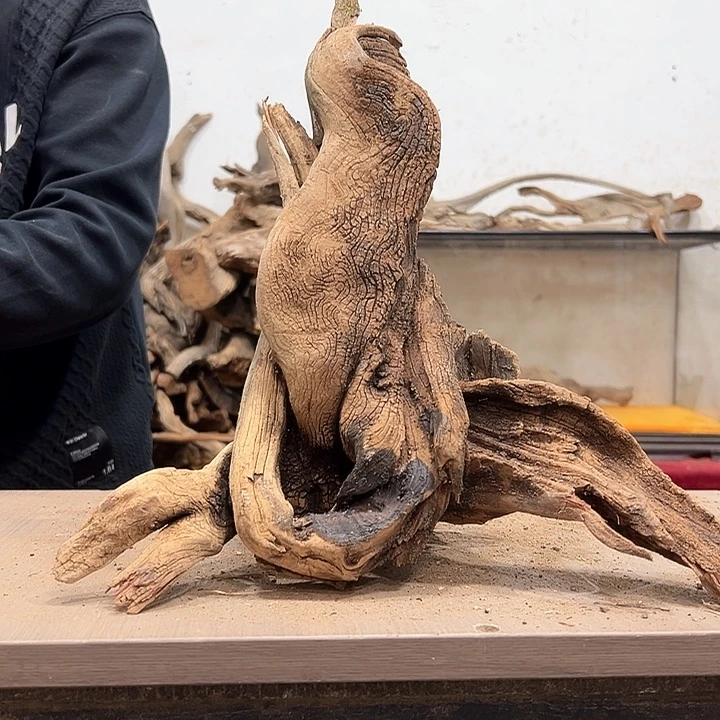 柏木景**金我们都是好孩子呀我也是想