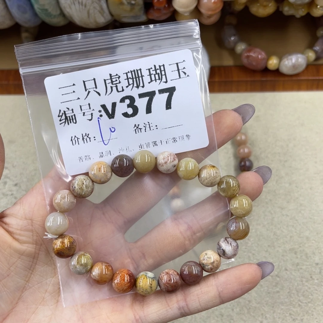*****硅化珊瑚（珊瑚玉）未镶嵌h