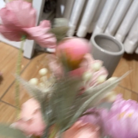 【闪购商品】摆件?摆件摆件摆件摆件摆件