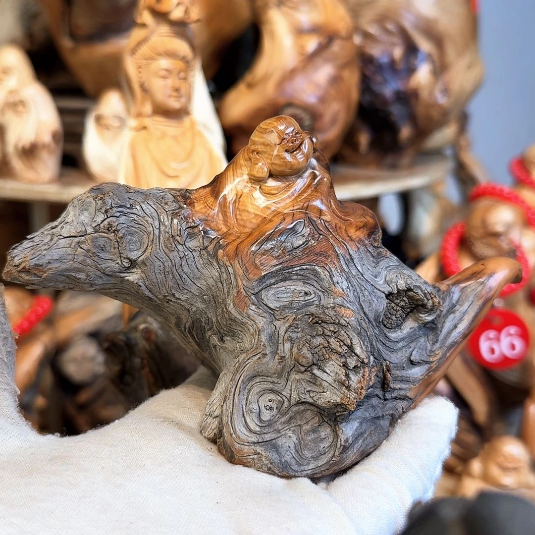 柏木（崖柏）66666666