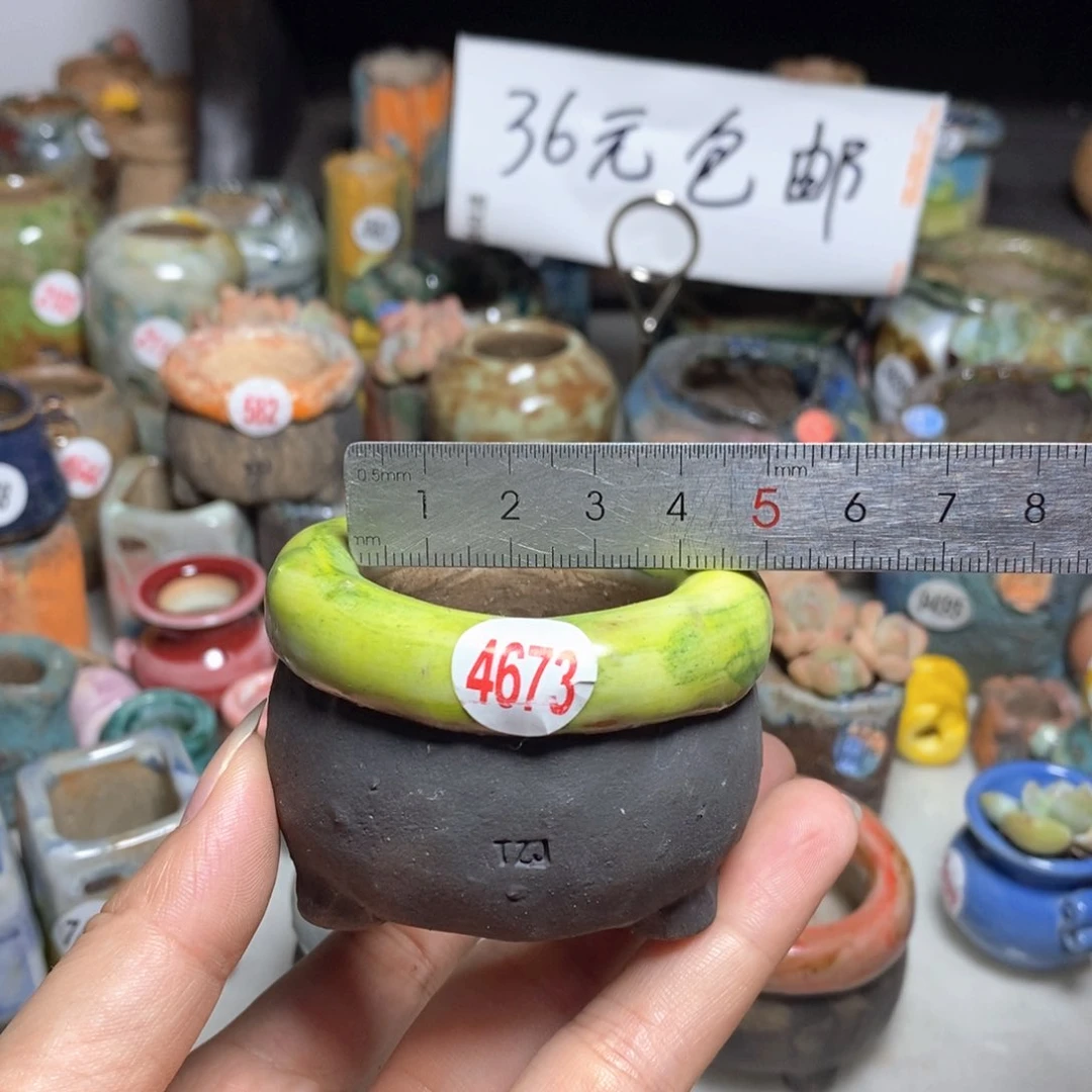 拍3送一个小礼物