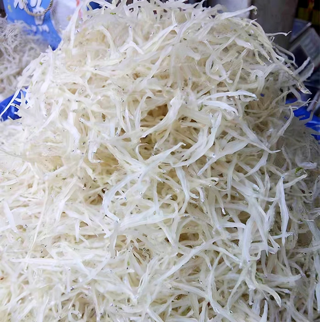 汕尾特产银鱼干淡干无盐海鲜干货宝宝银鱼