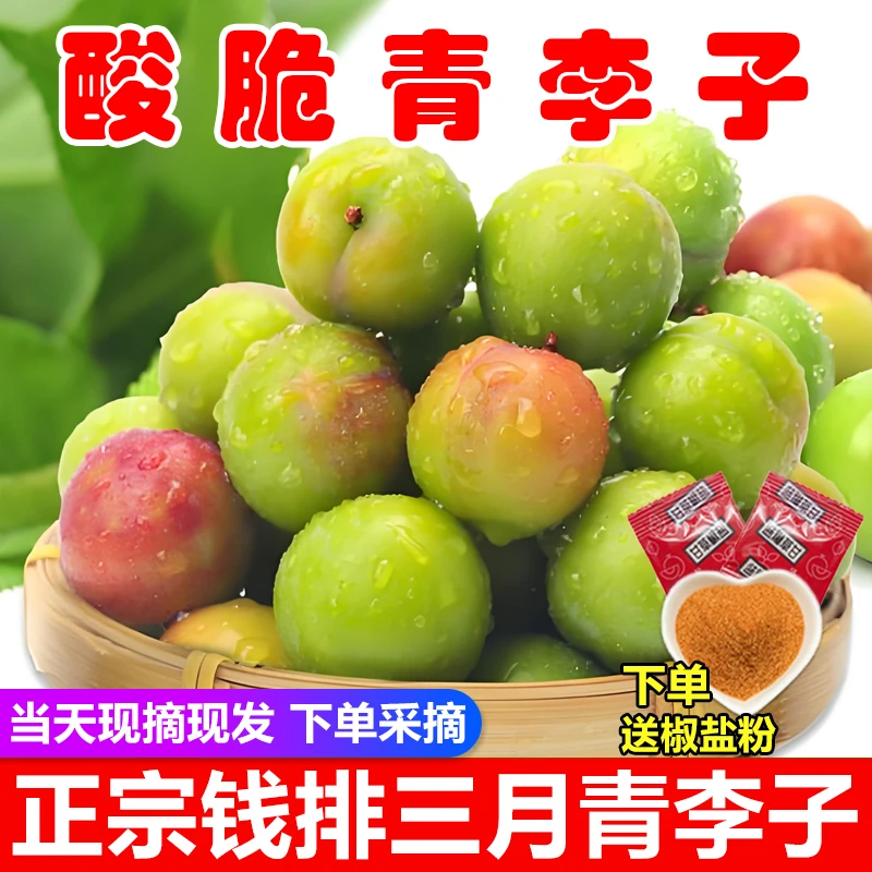 正宗钱排酸脆三月李孕妇新鲜水果酸嘢青李子现摘现发早熟三华李