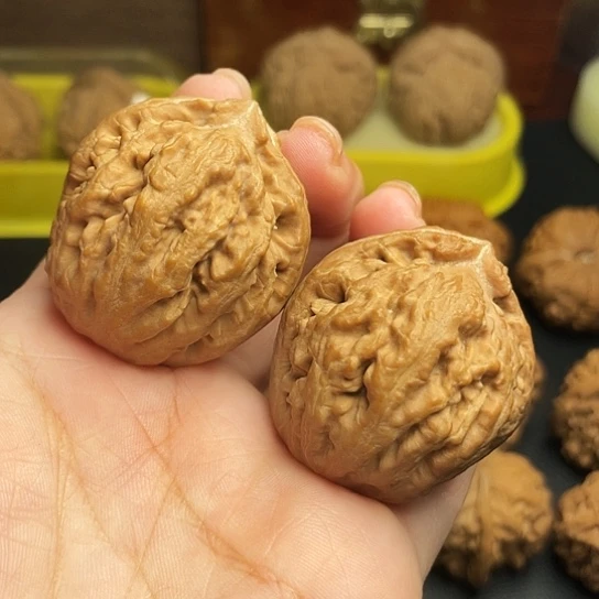 文玩核桃原装霸王龙