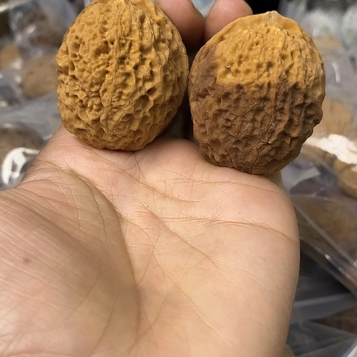 核桃云南铁核桃基地58