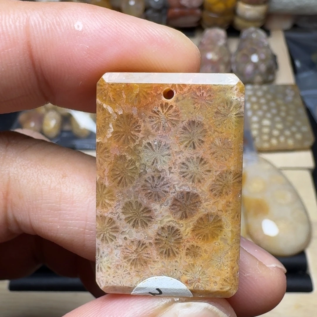 硅化珊瑚（珊瑚玉）未镶嵌纯天然色有机玉石保真色