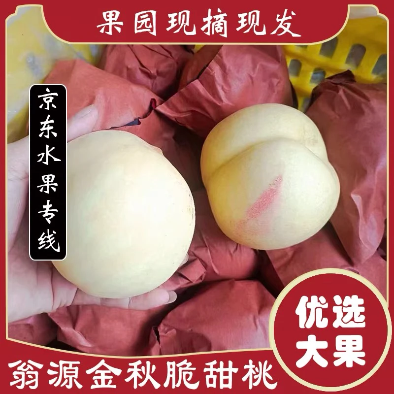 【京东速递】正宗广东韶关翁源国庆蜜桃新鲜现摘当季脆甜水果