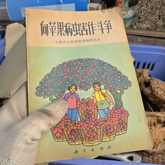 用***8衣服啊啊啊啊啊啊啊啊