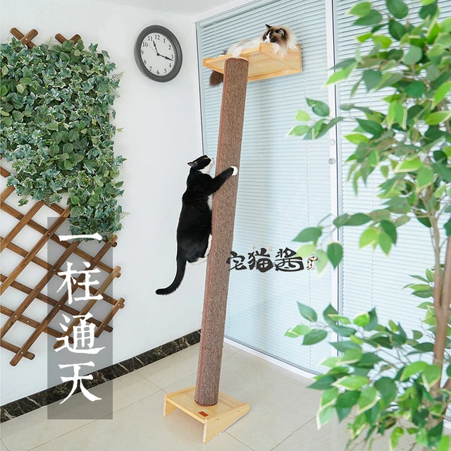 宅猫酱 Wakupet猫窝猫树实木一体猫爬架猫窝猫玩具抓住剑麻通天柱