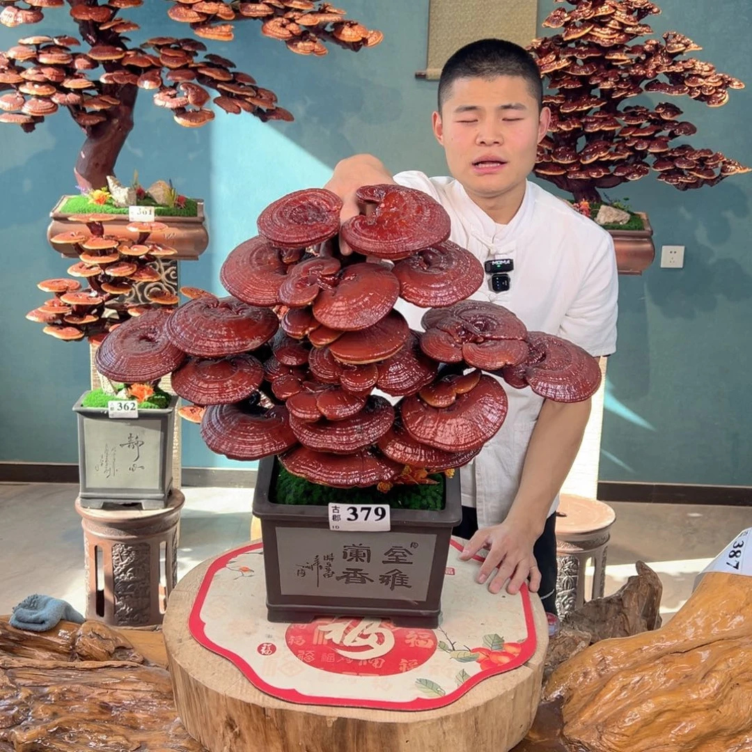 无花朵88888888888