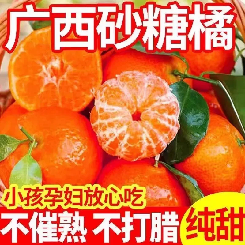 正宗广西砂糖橘水果新鲜当季橘子整箱纯甜沙糖桔年货