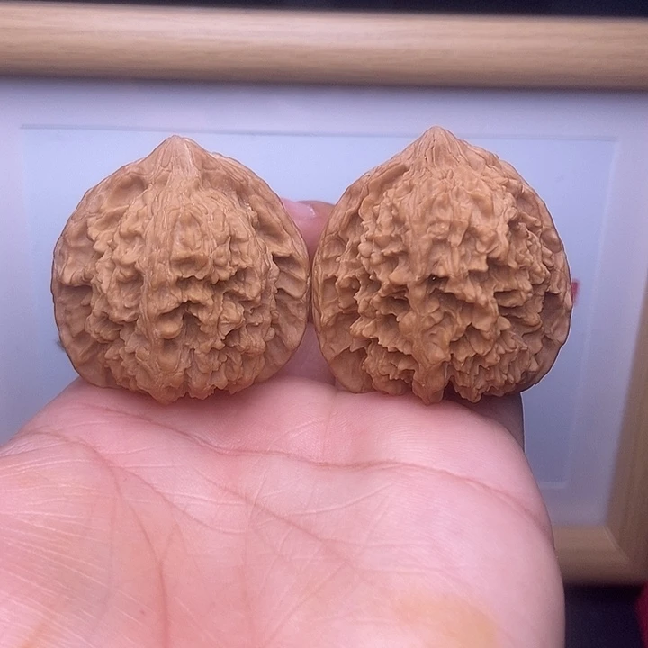 核桃全品满天星星