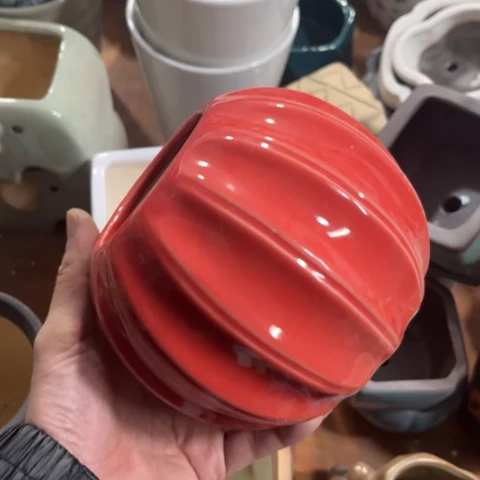 ［所有订单凑满15包邮］6×10