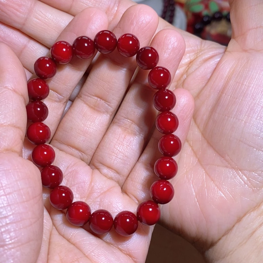 贝壳杉帝王血龙木0.8