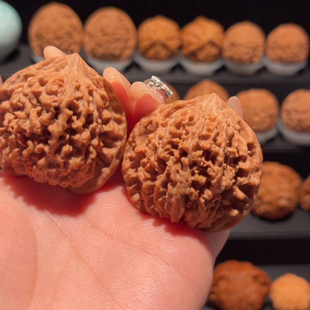 热***奶满天星44，精品，全品