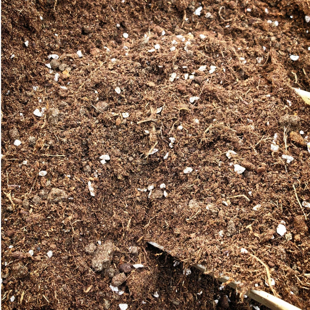 草莓营养土10斤 草莓专用 品牌苗通用