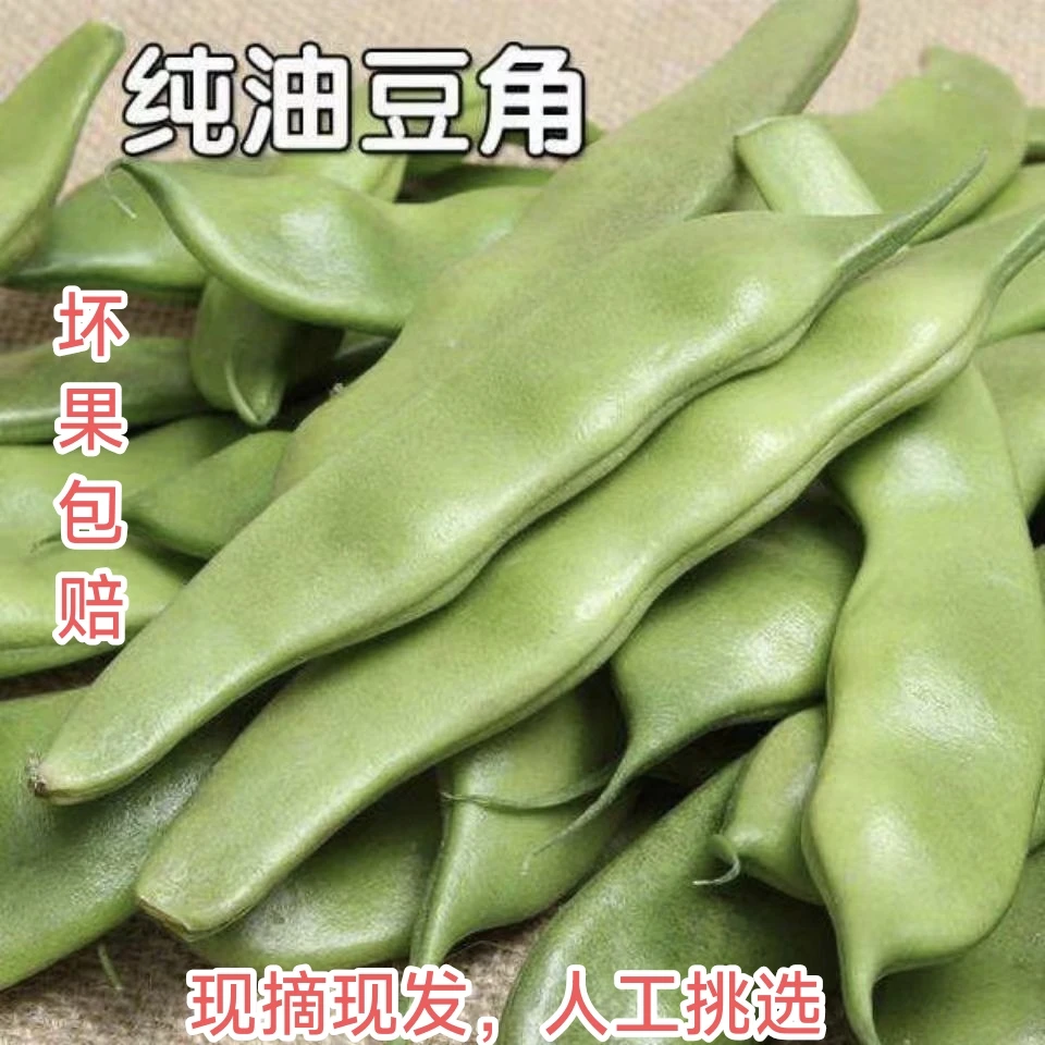 东北头茬油豆角菜园现摘现发新鲜到家无防腐鲜嫩可口无筋好吃包邮