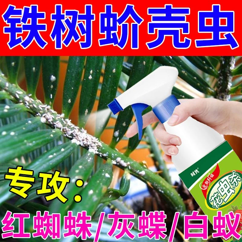 铁树专用除虫剂肥料驱介蚧壳虫蚜虫白粉虱绿植花卉防长虫子营养液