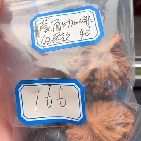 文玩核桃吊坠蒙****?老款