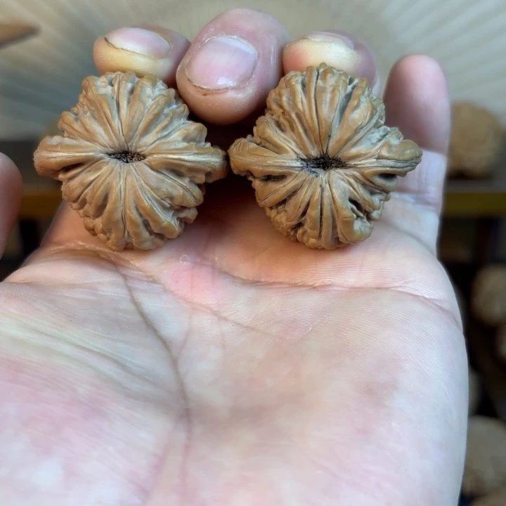 山西汉高楼全品无修