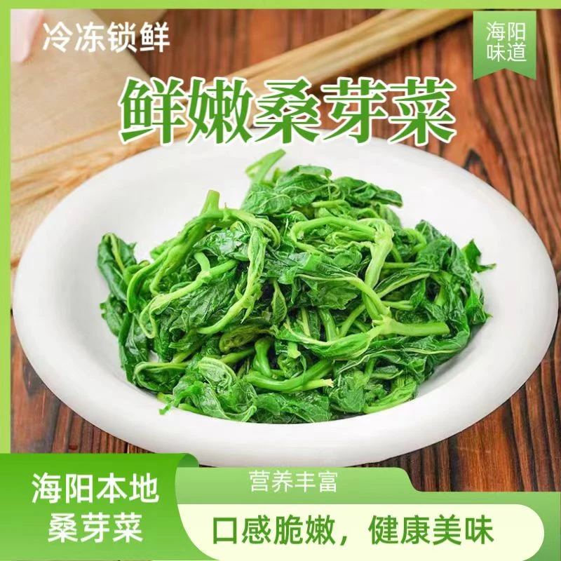 桑叶芽新鲜冷冻桑芽菜山东海阳凉拌嫩桑叶尖包子饺子馅半成品特色