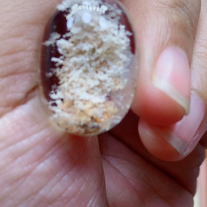 未镶嵌颈饰水晶少*