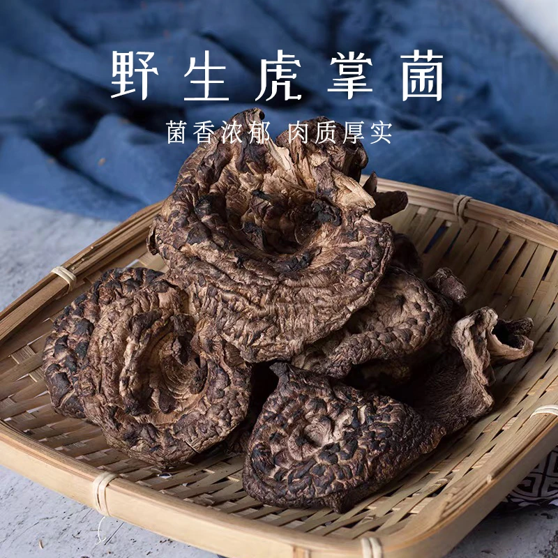 黑虎掌菌云南野生菌山货直播干货菌菇煲汤火锅食材菌菇菌菇干货