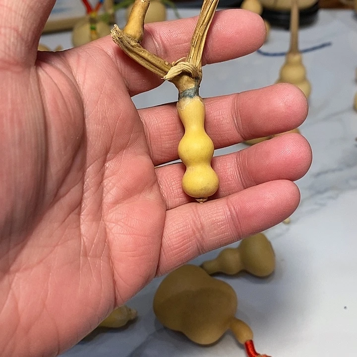 小**噜精品葫芦手把葫芦1