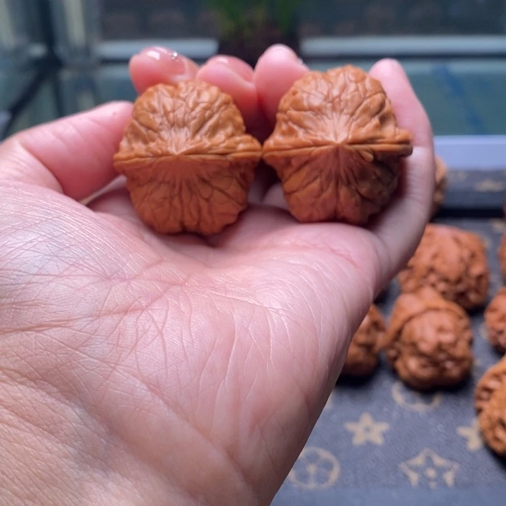 文玩核桃把件龟甲文