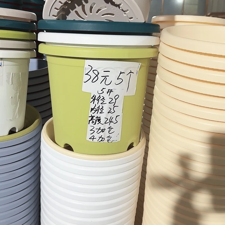 微瑕5#口径29无托果绿5个